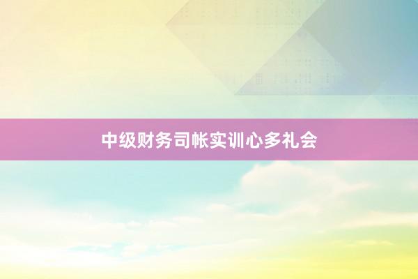 中级财务司帐实训心多礼会