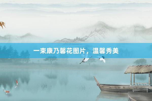 一束康乃馨花图片，温馨秀美
